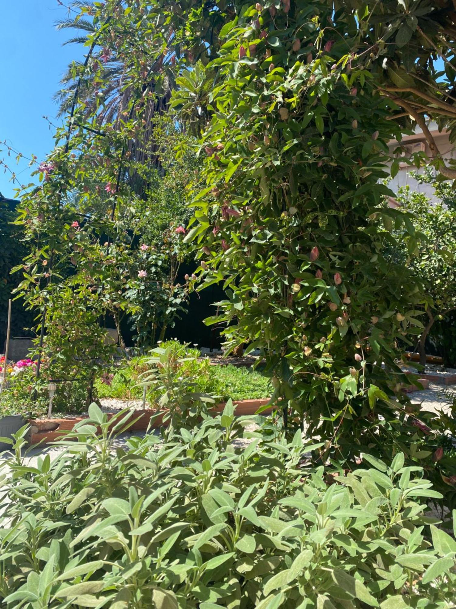 Villa Tesori Del Sinis à Càbras Extérieur photo